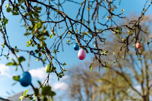 Tree branches in spring with colorful Easter eggs hanging on them.