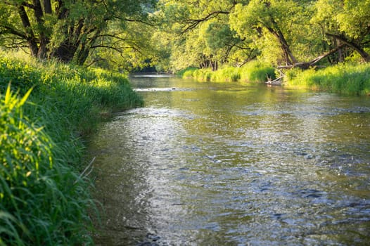 The Eder - A river in Germany in a green landscape