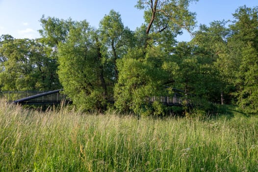 A pedestrian bridge over the Eder river in Germany, with green nature