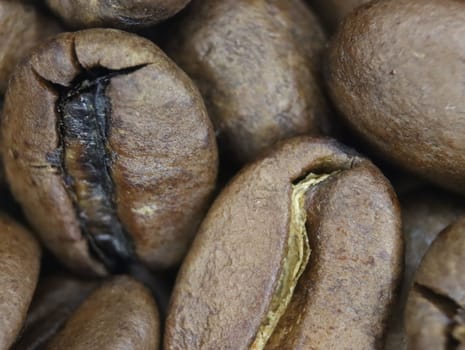 naturally roasted coffee beans delicious tasty supreme specialty