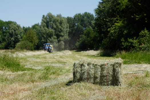 Straw bales on a cornfield with tractor during harvest, Lower Saxony, Germany