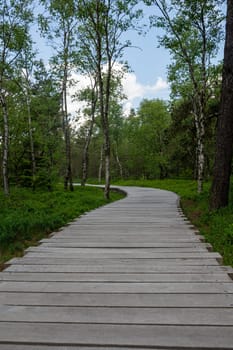 Black Moor in the Rhoen, Bavaria, Germany, with a new wooden path