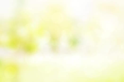 Abstract blurred fresh vivid spring summer light delicate pastel yellow white bokeh background texture with bright circular soft color lights. Beautiful backdrop illustration.