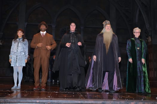 Oliver Masucci at his premiere as Professor Snape in "Harry Potter and the Cursed Child"",Mehr Theater Hamburg,29.02.2024"