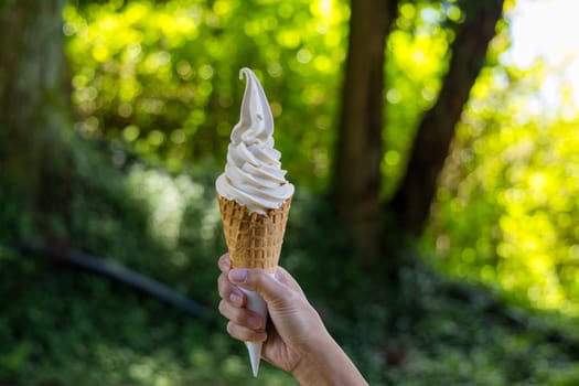 Hold with ice cream over the green background