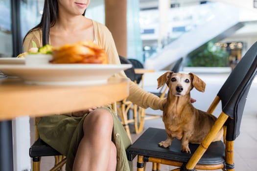 Woman go to restaurant with her dog in shopping center