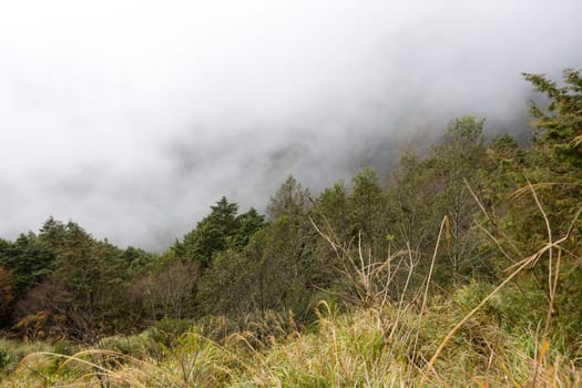 Foggy mist over the mountain