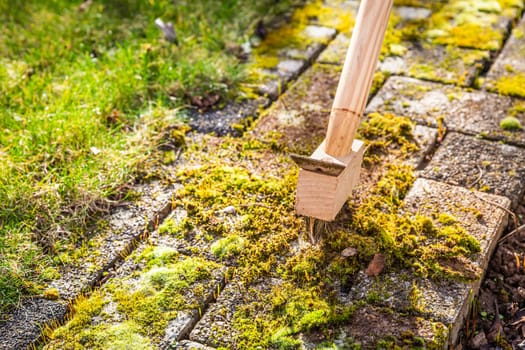 Removing and scratching moss out of paving stones, cleaning terrace and patio