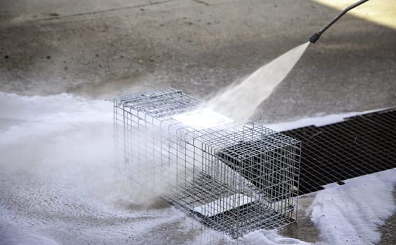 Detail of pressure cleaning, hygiene and disinfection