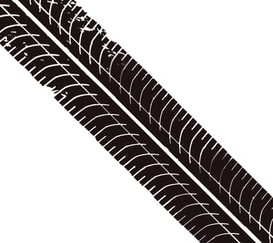 Large black tread mark from a car wheel with a natural pattern on a white background
