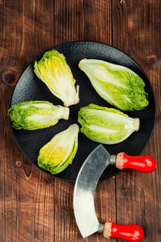Raw green Romaine lettuce hearts. Baby cos lettuce leaves.