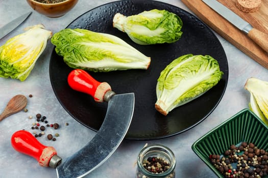 Raw green Romaine lettuce hearts. Baby cos lettuce leaves.