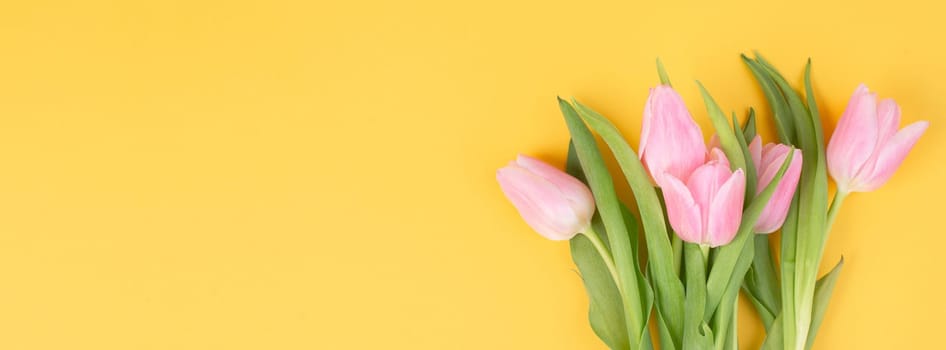 Tulips greeting card for mothers day, birthday, easter holiday, valentines day, spring season, pastel color