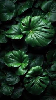 Dark botanical background from green big smooth leaves, green tropical. Generative AI