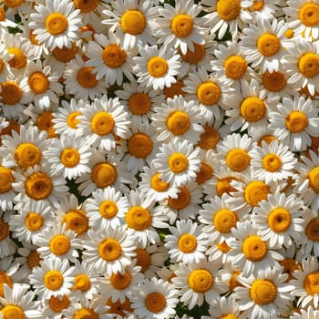 A Lot Of White Yellow Daisies or chamomile flowers - for full-frame background and seamless texture. Neural network generated image. Not based on any actual scene or pattern.