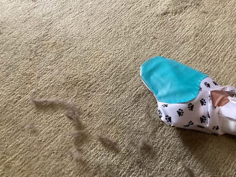 Using a glove to the remove cat hair from the carpet