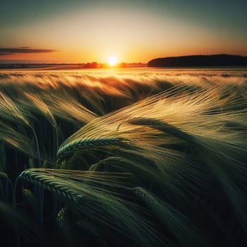 Cereal field in a sunny day. Generated AI