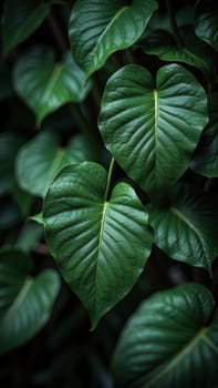 Dark botanical background from green big smooth leaves, green tropical. Generative AI
