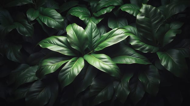 Dark botanical background from green big smooth leaves, green tropical. Generative AI