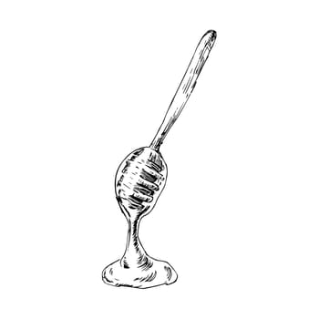 Hand drawn sketch of honey and wooden spoon. Vector illustration can used for wrapping paper, textile, food label, print for organic honey products. Outline illustration.