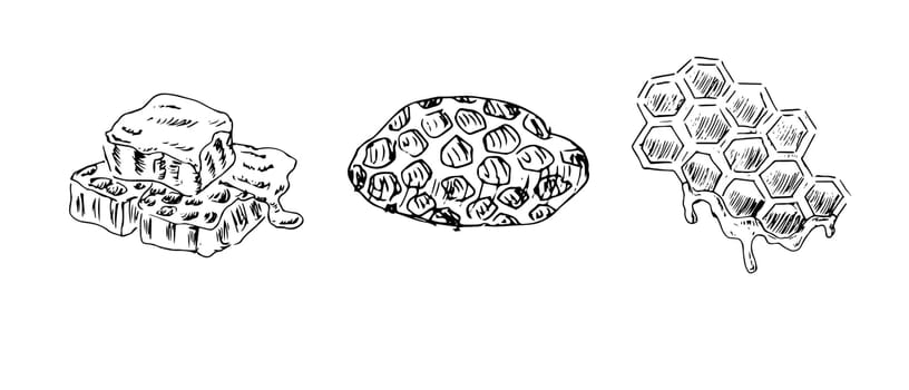 Set of Honeycombs propolis doodle sketch. Honey in cell. Hand drawn vector illustration of honey product in vintage style