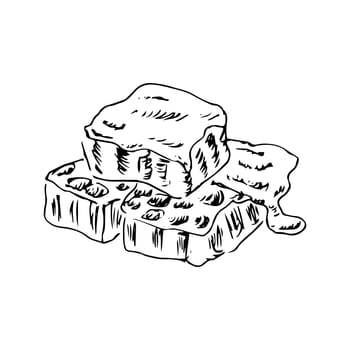 Honeycomb propolis doodle sketch with honey. Hand drawn vector illustration of honey product in vintage style