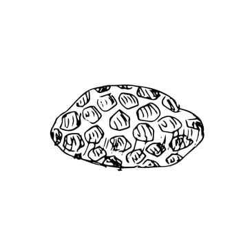 Honeycomb propolis doodle sketch. Honey in cell. Hand drawn vector illustration of honey product in vintage style