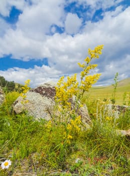 Baikal landscape, meadows by the lake. Baikal landscape, meadows by the lake.