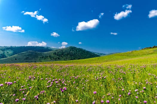 Landscape meadows and pastures of the Baikal National Park. Landscape meadows and pastures of the Baikal National Park.