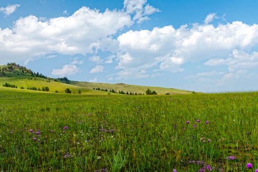 Landscape meadows and pastures of the Baikal National Park. Landscape meadows and pastures of the Baikal National Park.