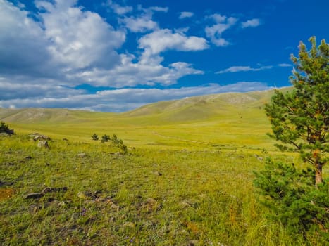 Landscape meadows and pastures of the Baikal National Park. Landscape meadows and pastures of the Baikal National Park.