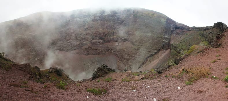 Vesuvius, a walk to Vesuvius tour for tourists.