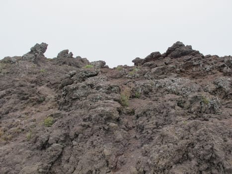 Vesuvius, a walk to Vesuvius tour for tourists.