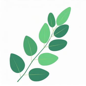 Green eucalyptus leaves isolated on white background