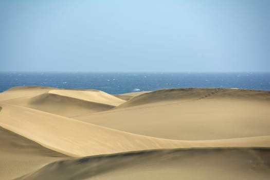 The dunes of Maspalomas on Gran Canaria in Spain, with sea and blue sky. The huge sand dunes resemble a small desert and are a nature reserve.,The dunes of Maspalomas on Gran Canaria in Spain, with sea and blue sky. The huge sand dunes resemble a small desert and are a nature reserve.
