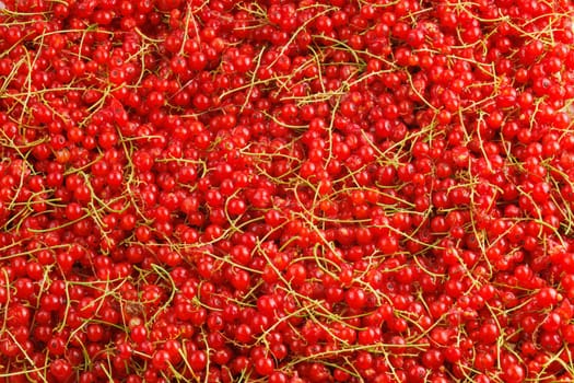 full-frame background and texture of red currants pile in high angle view.