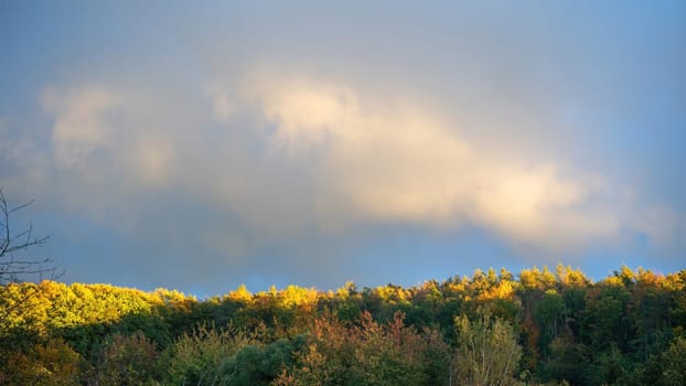 Cloud in the sky in the evening sun over a green forest