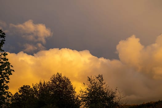 Big yellow cloud in the sky in the evening sun over a green forest