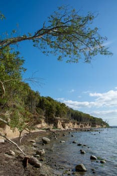 Steep coast on the black bush with many large stones in the sea, on the island of Poel on the Baltic Sea, Germany