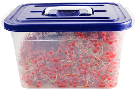 plastic container with red currants isolated on white background.