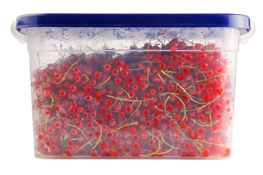 plastic container with red currants isolated on white background.