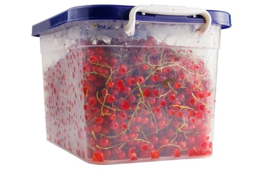 plastic container with red currants isolated on white background.
