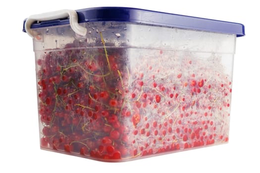 plastic container with red currants isolated on white background.