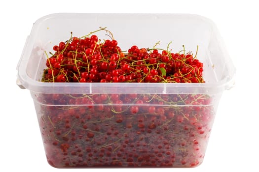 plastic container with red currants isolated on white background.