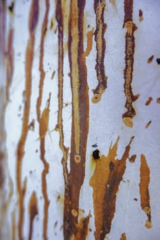 Detail of old metal wall damaged by time, dirt