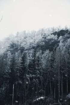 View of the great Zschirnstein with snow-covered trees and sunrise in fog, on the summit, during a hike. From the nature park in the Elbe Sandstone Mountains. Landscape from things in Germany