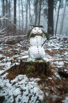 Snowman on a tree stump with a carrot for a nose, buttons, a branch for arms and pine needles for hair. In the snow-covered forest.