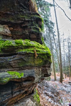View over sandstone overgrown with moss to snow-covered and frost-covered trees on the Zschirnstein. Nature park in Saxon Switzerland in Germany