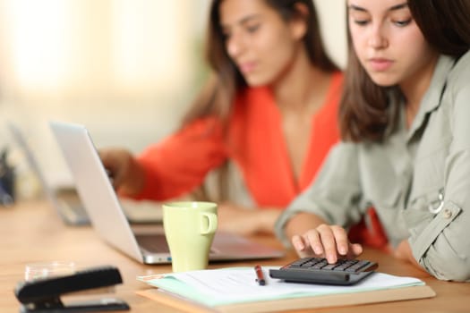 Two colleagues working together at home