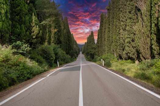 Tuscany, Italy. Asphalt line in nature, panoramic road to travel destination Bolgheri